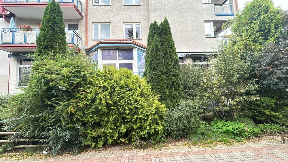 Biuro do wynajęcia na Dąbrowie