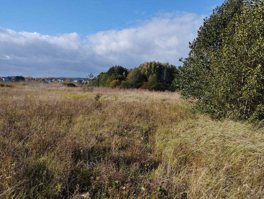 Sprzedam działkę budowlaną w Kurzętniku