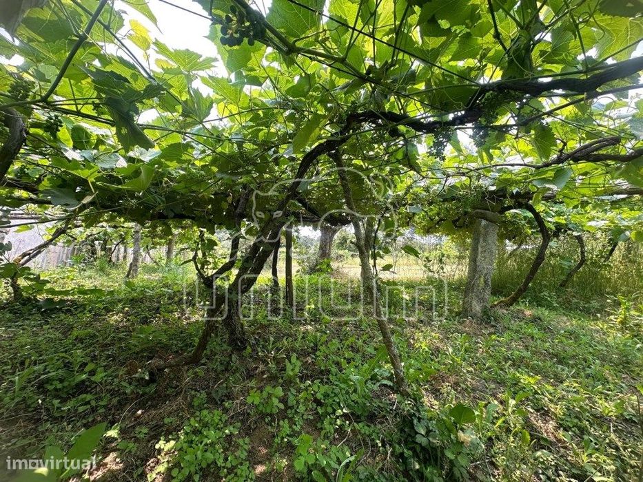 Terreno Agrícola - Vila Franca