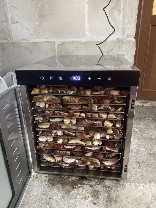 Гриби білі сушені, шапочки та слайси