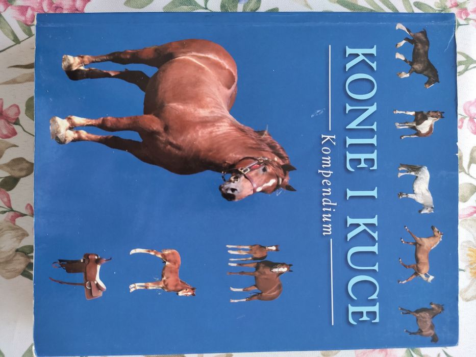 Konie i kuce - kompendium