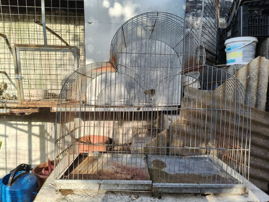 Gaiola grande para aves