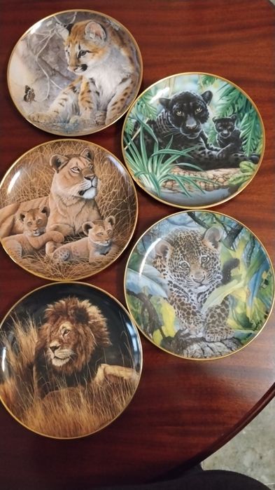 5 Pratos decorativos de 20,5cm diâmetro