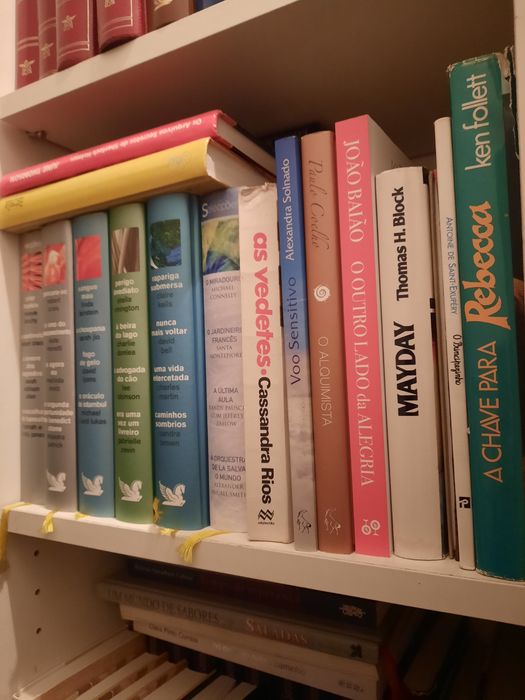Lote de vários livros