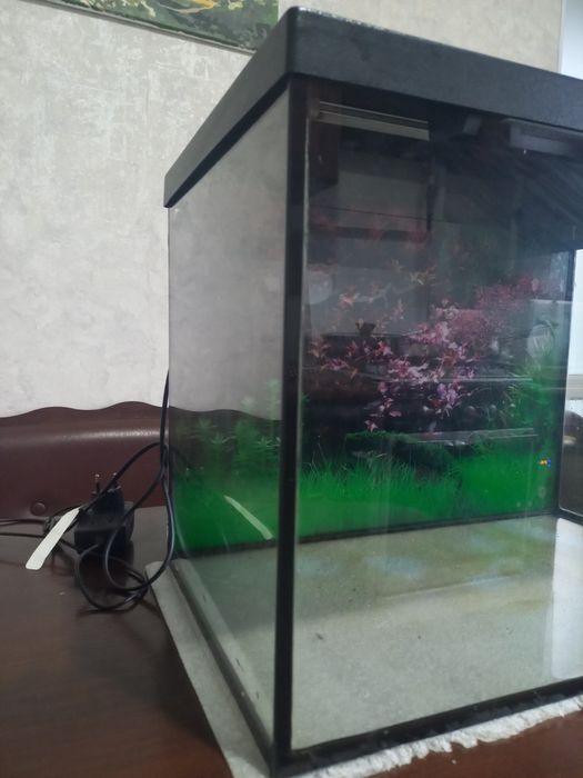 Акварюм новий стан 57