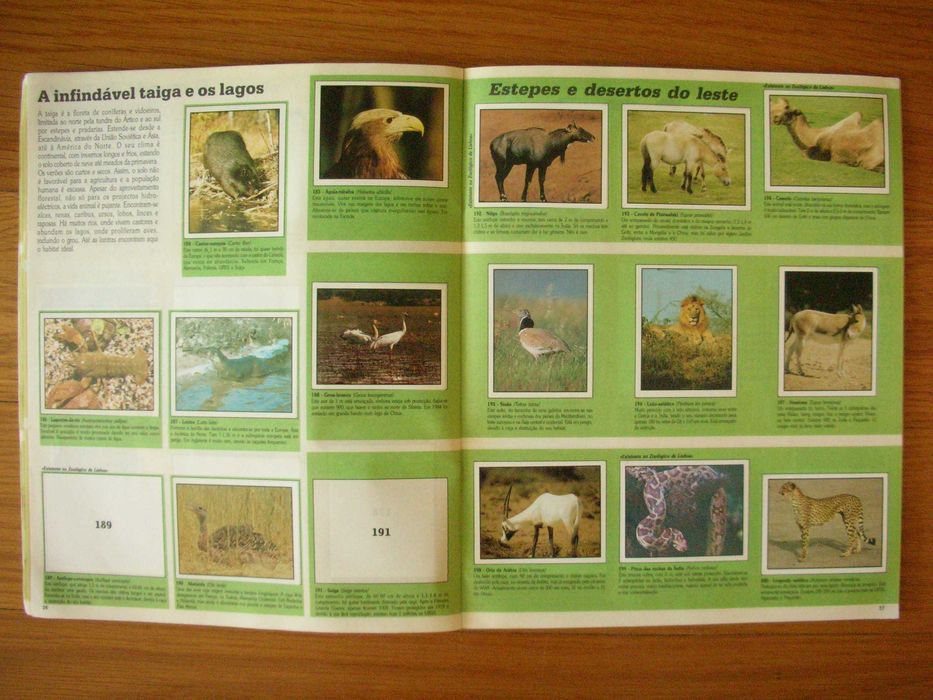 WWF Notebook - Animals to Save (Panini)64585949064577122