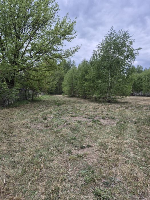 Działka 3100 m2 Stare budy