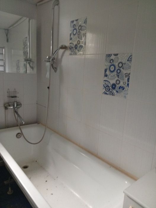 Продам будинок з ділянкою, село Літки, вул. Л.Українки