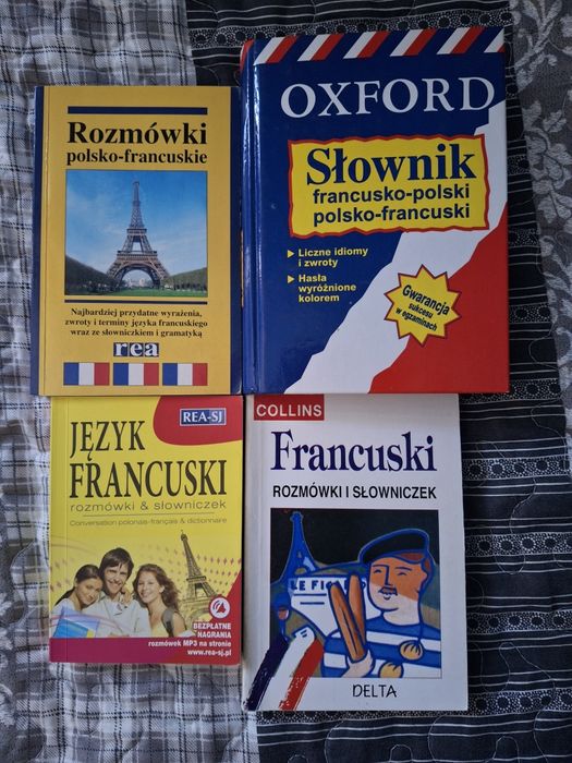 Francuski Książki słowniki