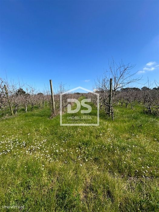 Rustic Land for Sale in Vimeiro, Alcobaça