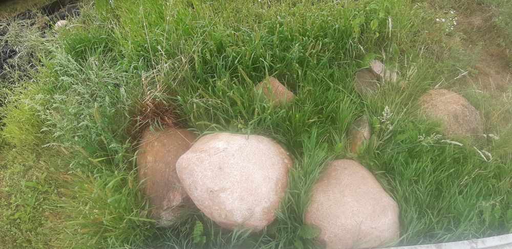 Kamienie polne na skalniak