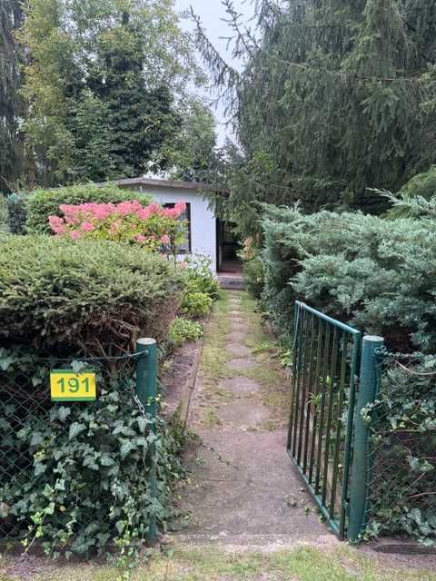 Zdjęcie 2