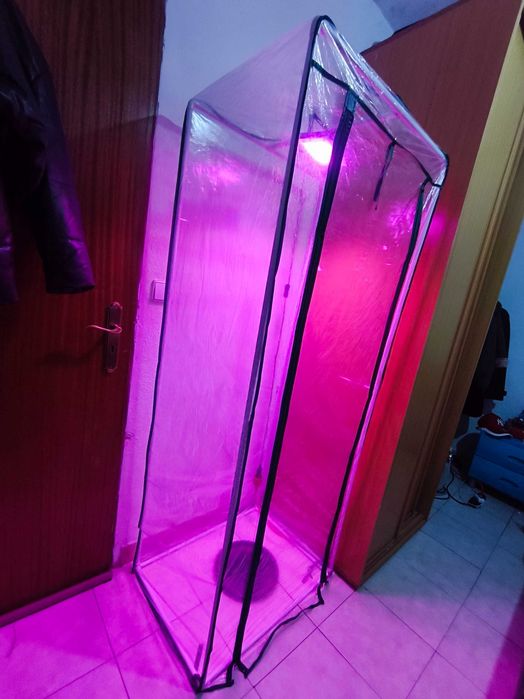 Estufa c/ Lâmpada de Crescimento