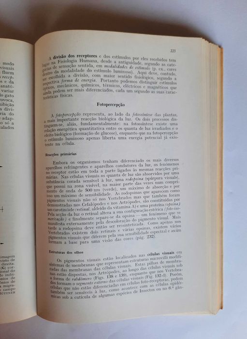 Zoologia Geral - Ernst Hadorn e Rudiger Wehner