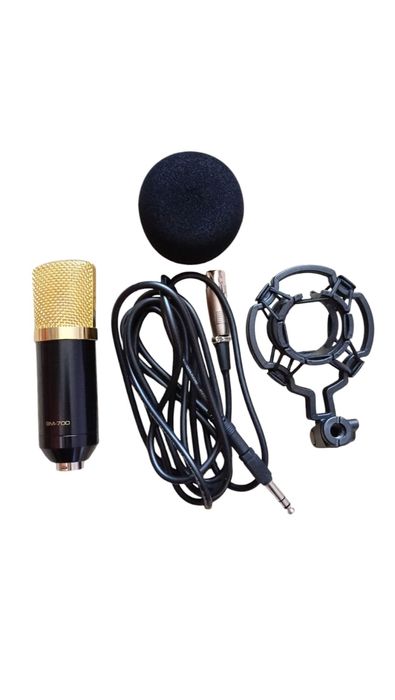Profesjonalny mikrofon pojemnościowy BM-700
