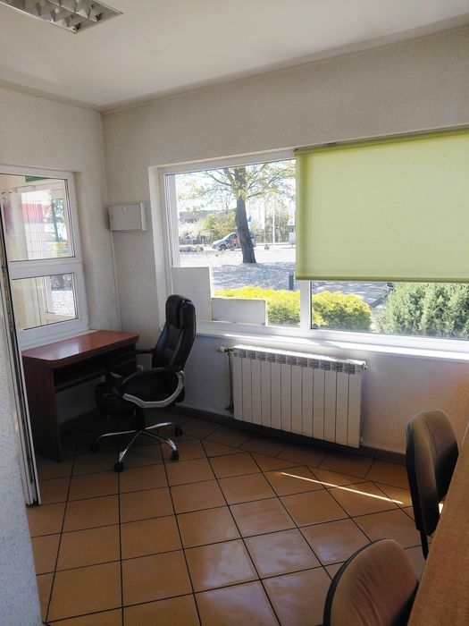 Lokal do wynajęcia