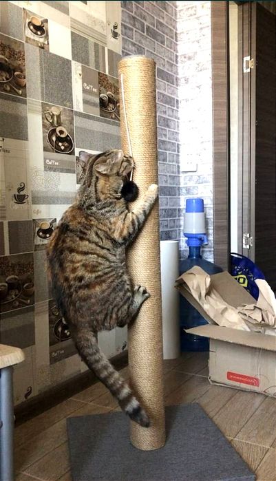 кігтеточка 120см,  когтеточка ,товстий стовп,широка основа.