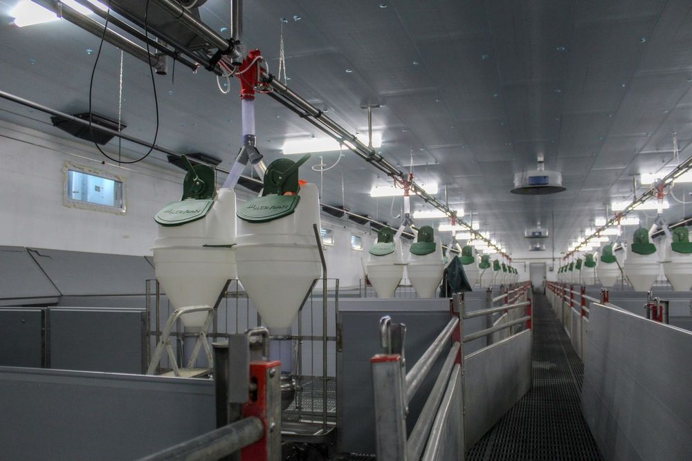 Błękitne Płyty Panele Thermo Izolacyjne XPS AGRO Zmywalna Podsufitka