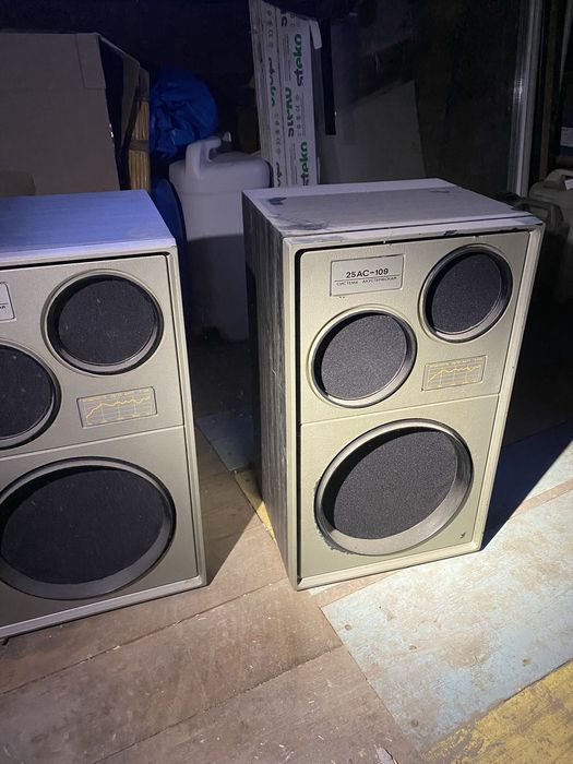 Продам колонки 25ас 109