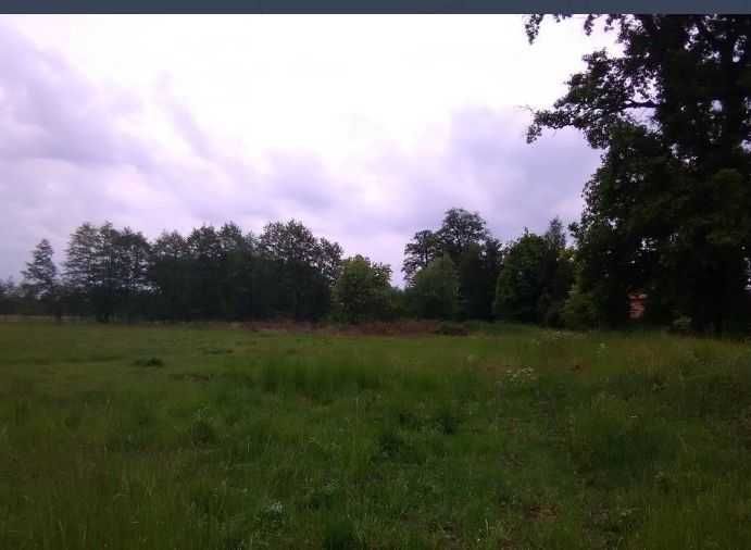 Zdjęcie 5