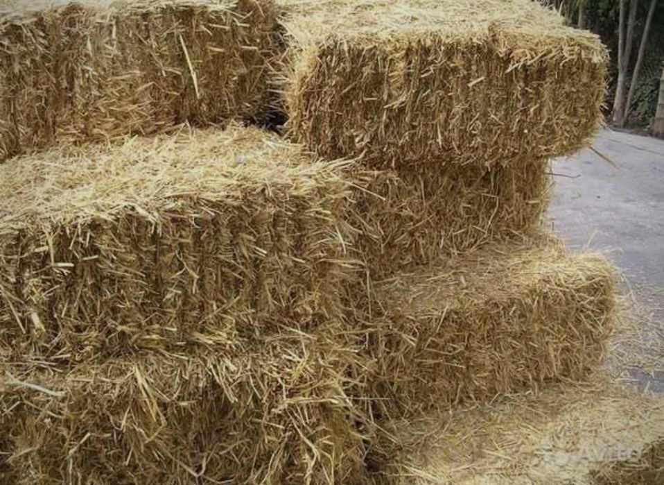 Продам Солому 2025