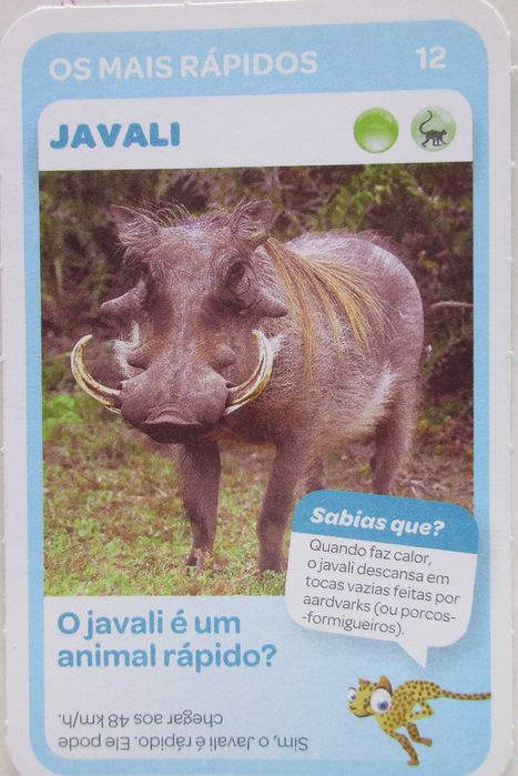 Super Animais 1 - - - Cromos - Cartas Soltas Pingo Doce - - - - Cromos