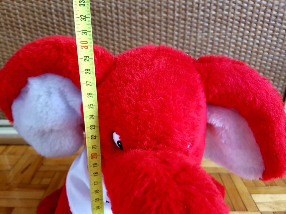 Słoń Toyota Katowice