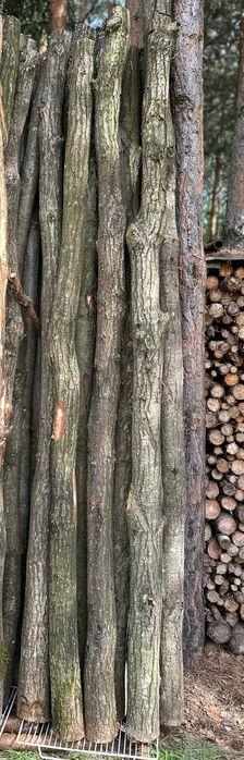 Stemple budowlane 2,5 , 3 , 3,5 i 4m kantówki kołki żerdzie