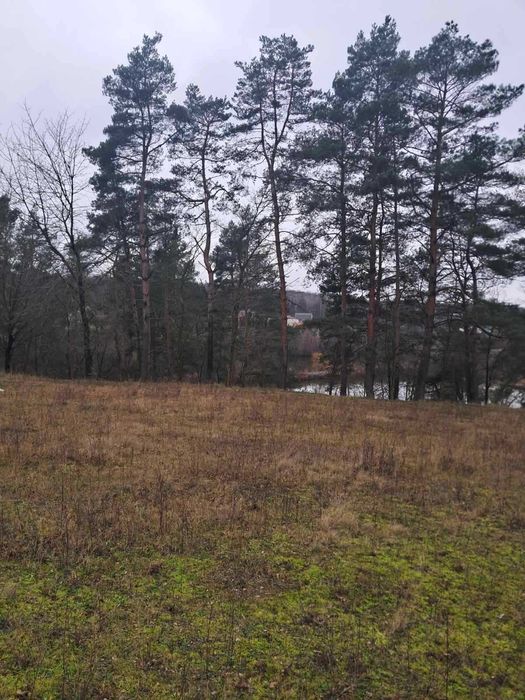 Продам земельну ділянку с/г призначення в Стрижавці 0962