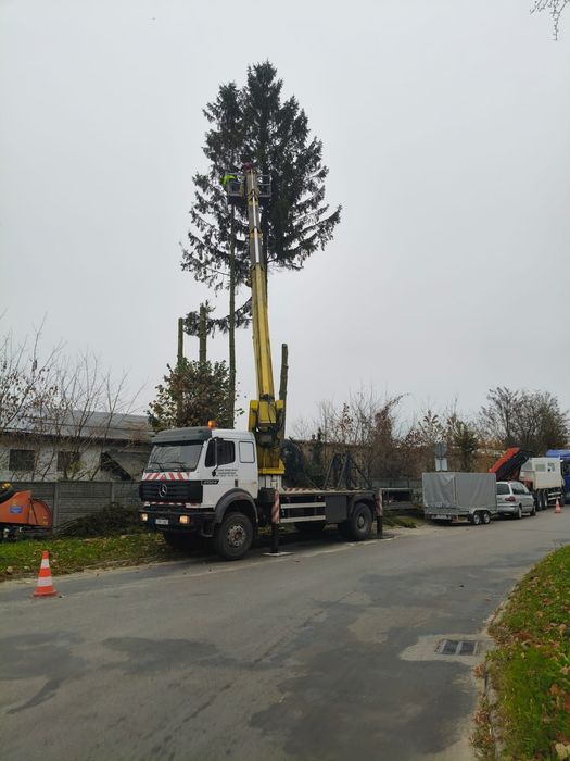 Wycinka/Podcinka drzew