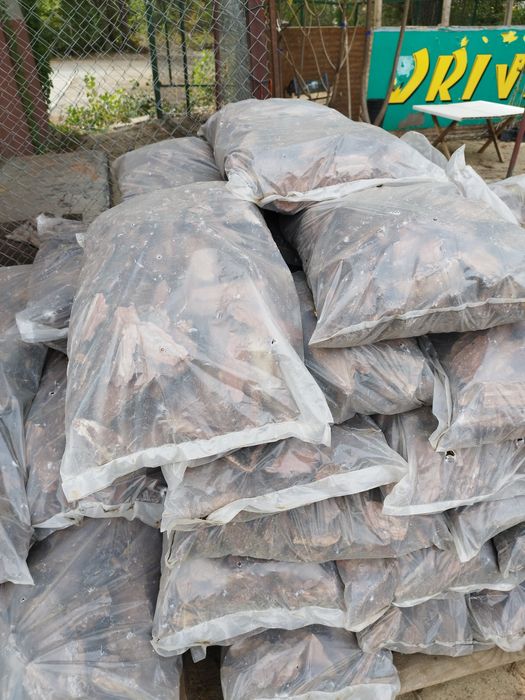 Туя Смарагд 1  метр, з комом С 7,5