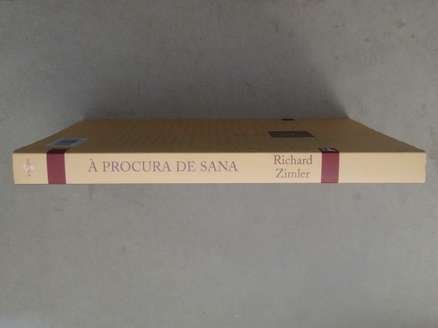 À Procura de Sana de Richard Zimler