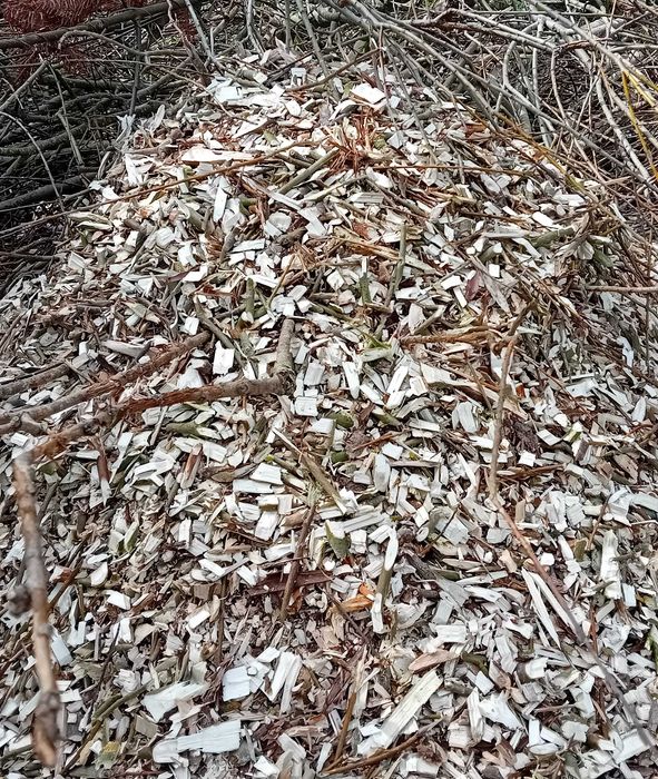 Zrębki zrąbki wióry trociny