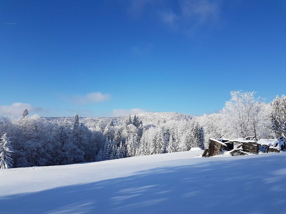 Działka w Gorcach -polana z lasem