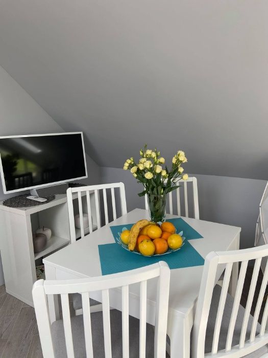 SOWIA RZECZKA APARTAMENT, Góry Sowie, noclegi, Domek w górach, Rzeczka