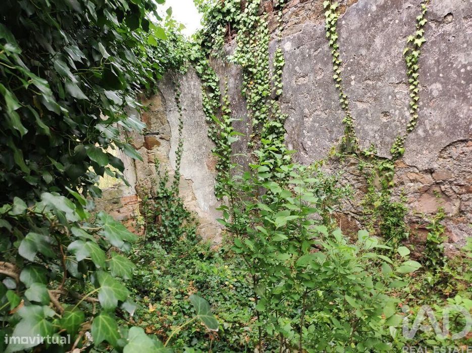 Terreno para construção em Colmeias e Memória de 116,00 m2