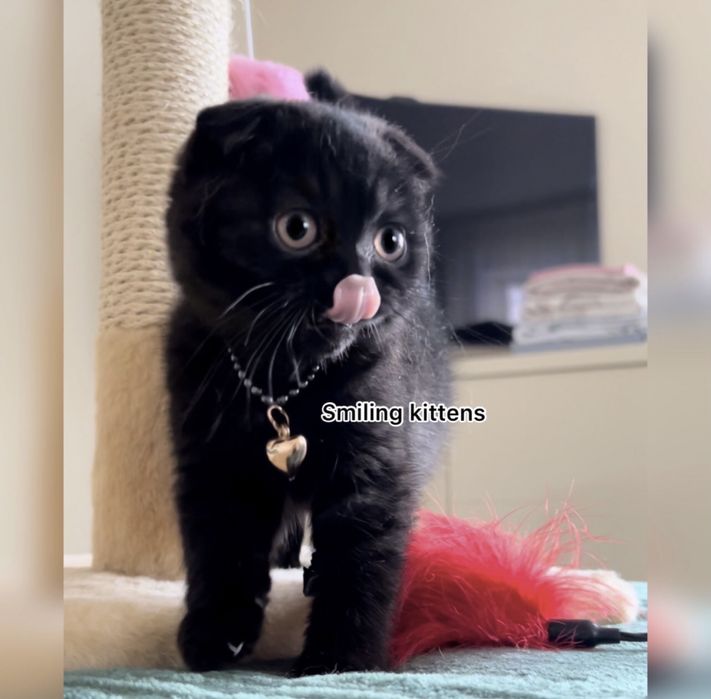 Чорні вуглики, хлопчик і дівчинка