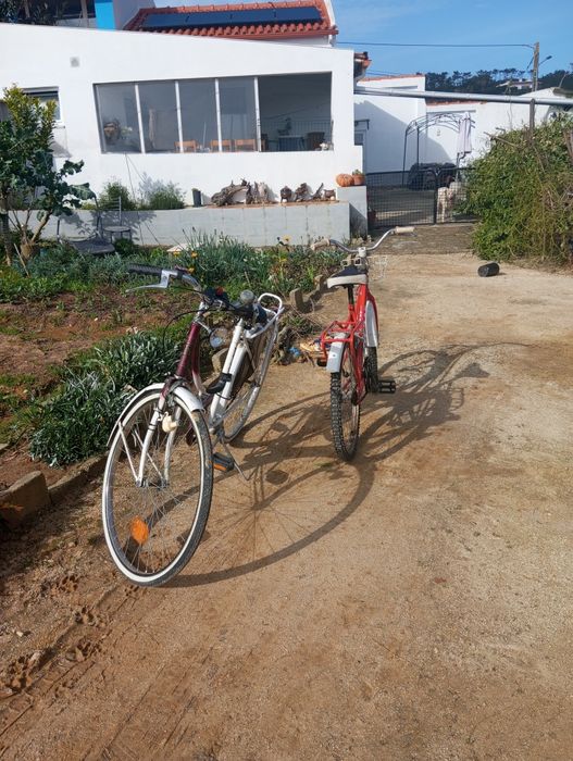 Bicicletas de senhoras