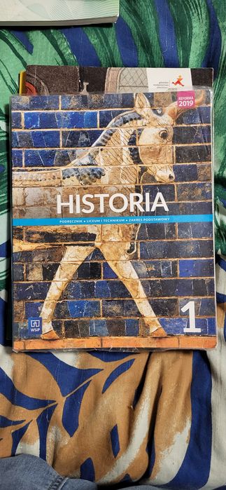 Historia 1 wsip podręcznik