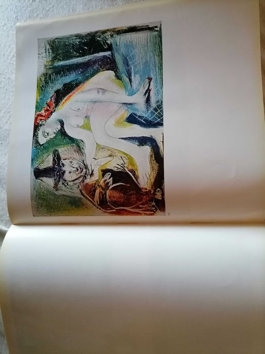 Raro Livro Homenage a PABLO PICASSO France 1966 Desrnas Ilustrações c/ 510 Páginas