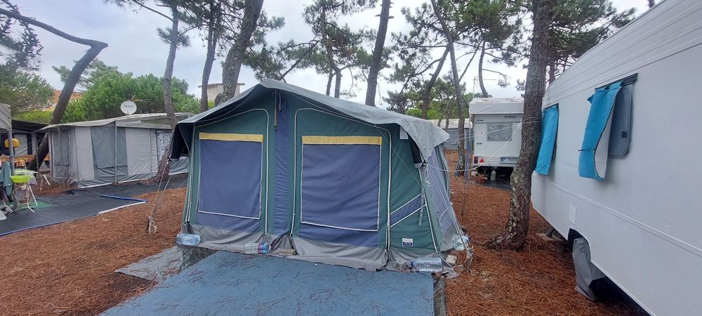 Autotenda saurium