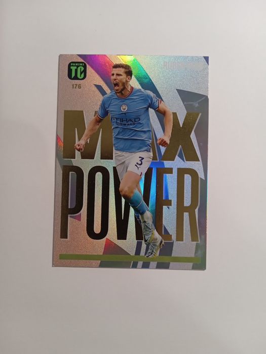 8 Kart Panini Top Class