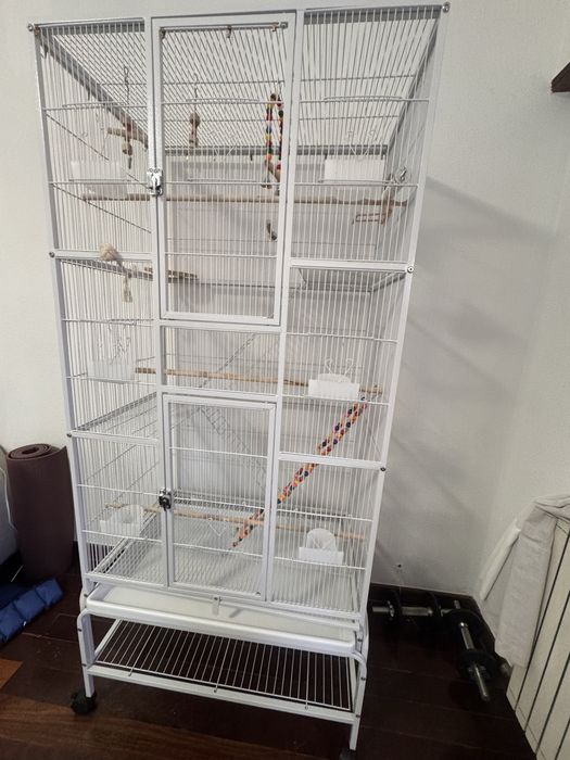 Gaiola para pássaros com rodas