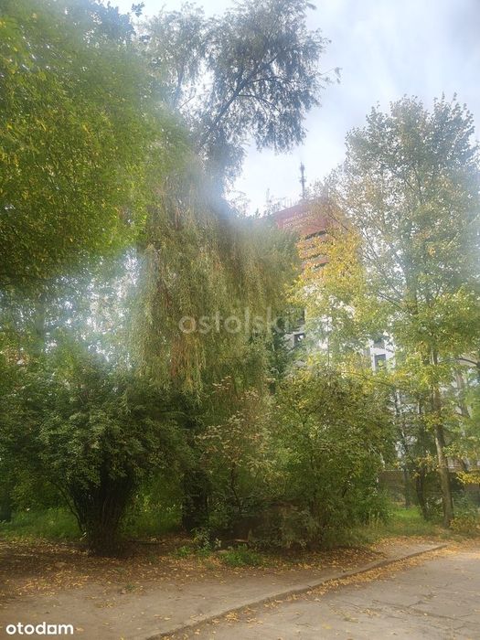 Mieszkanie – Poznań - Widok 4