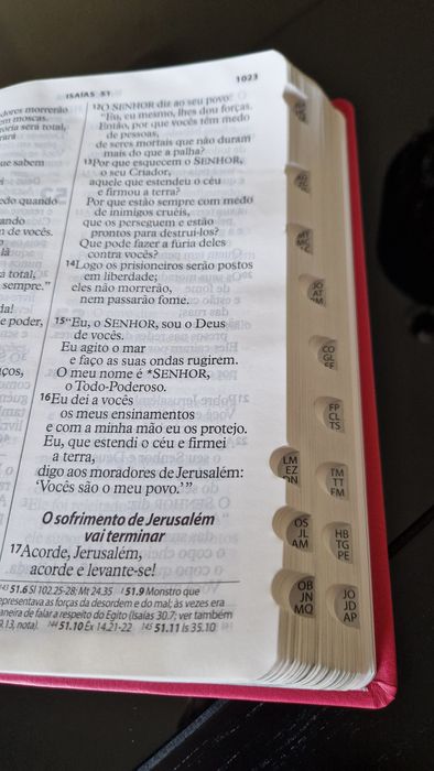 Bíblia Sagrada Letra Extra gigante NTLH | Capa Luxo Pink