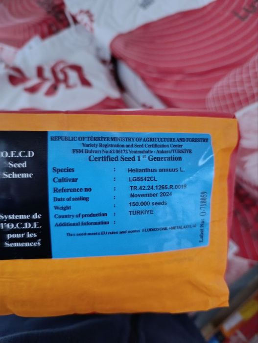 Продам насіння соняшнику Лімагрейн 5542 КЛ.Limagrain 5542 CL TUR