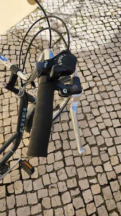 Bicicleta de adulto com 3 rodas