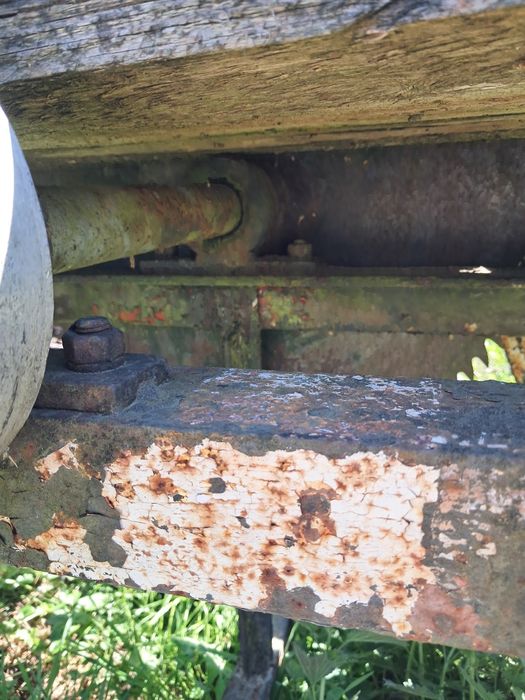 PILNE. Duża cyrkulatka do drzewa