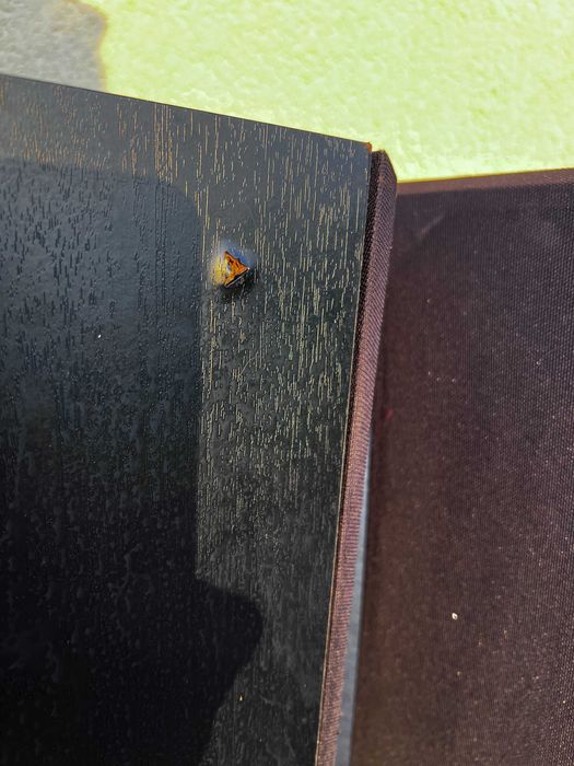 Kolumny glosniki Magnat