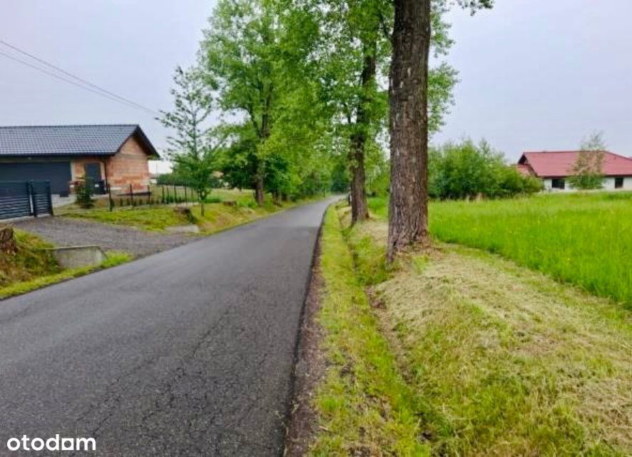 Atrakcyjna działka 14,8 ar – Pisarzowice, ul. Krakowska - Widok 5